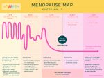 Menopause map describing the journey through the menopause a woman may take